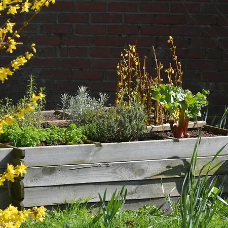 Le Fagotin - Youth * ストゥモン