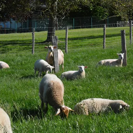 Le Fagotin - Youth *