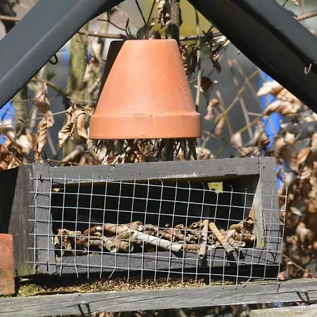 Vakantieboerderij Le Fagotin - Youth *