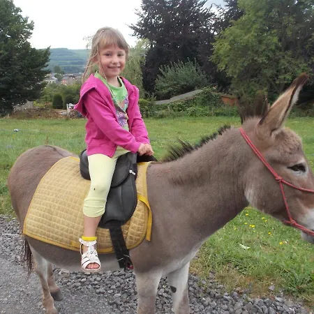 Le Fagotin - Youth ファームステイ