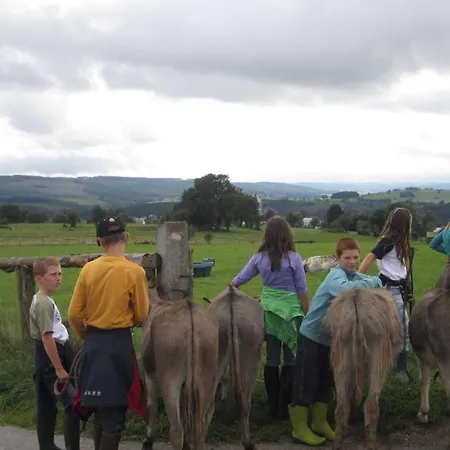 Agroturismo Le Fagotin - Youth
