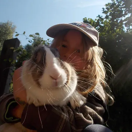 Farm stay Le Fagotin - Youth